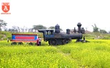 Cánh đồng cải vàng, điểm 